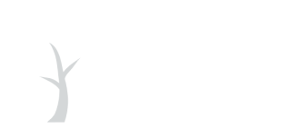 co neutral logo