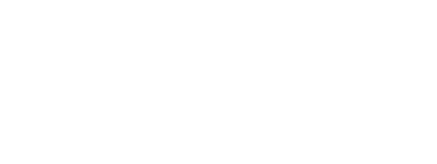 peluuri logo